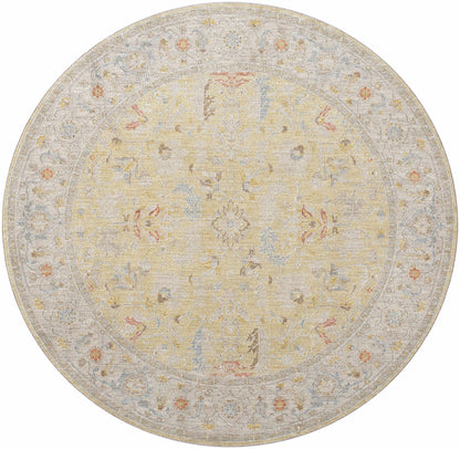 Avant Garde AVT-2374 Machine Woven Rug