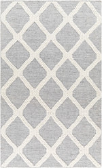 Nina NNA-2301 Hand Woven Rug