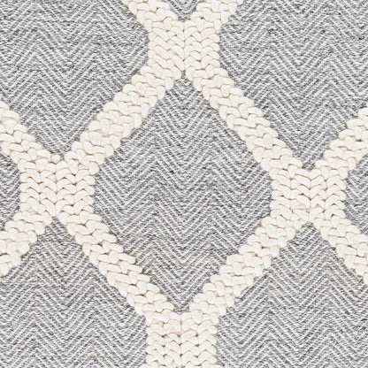 Nina NNA-2301 Hand Woven Rug