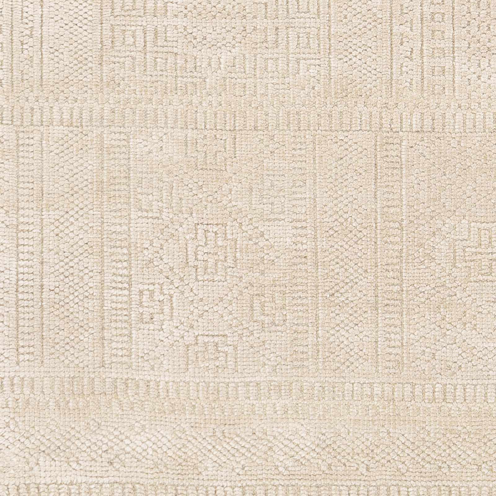 Rugs : LVN-2303