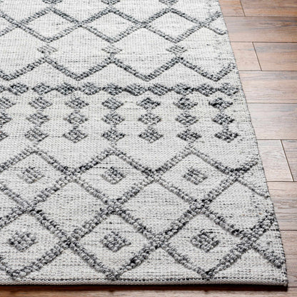 Napoli NPO-2301 Hand Woven Rug