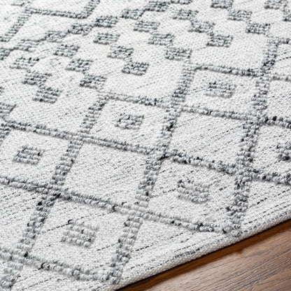Napoli NPO-2301 Hand Woven Rug