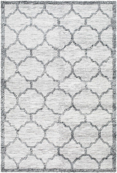 Ivory Hand Woven 100% Recycled PET Yarn Traditional Rectangle Handmade rug, Indoor use only, no fringe, non-washable. runner also available