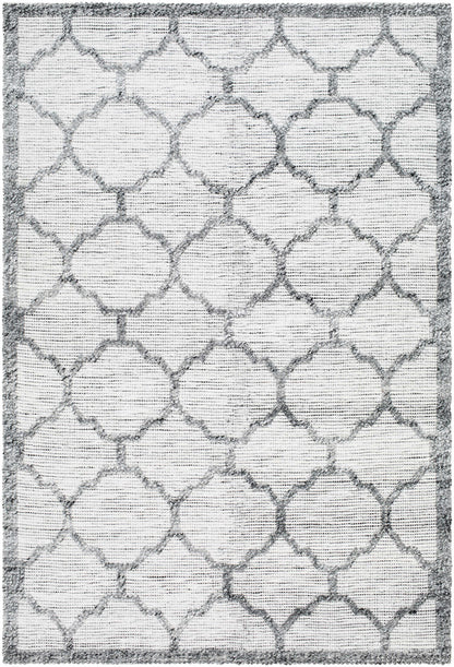 Napoli NPO-2307 Hand Woven Rug