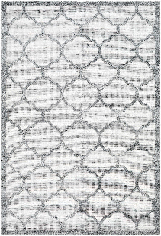Napoli NPO-2307 Hand Woven Rug