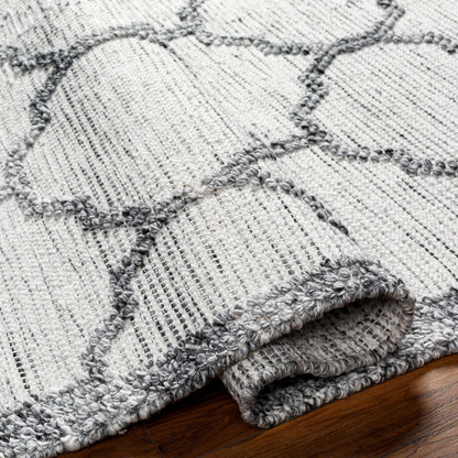 Napoli NPO-2307 Hand Woven Rug