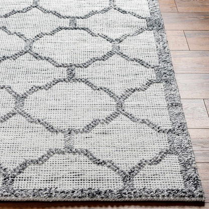 Napoli NPO-2307 Hand Woven Rug