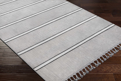 Palermo PLR-2306 Machine Woven Rug