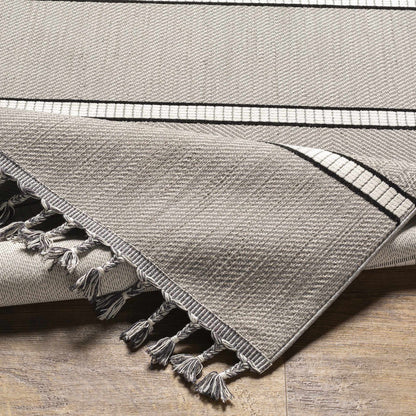 Palermo PLR-2306 Machine Woven Rug