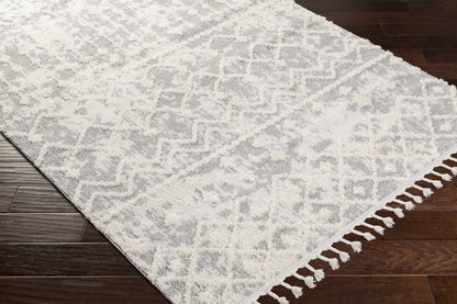 Alhambra AHB-2307 Machine Woven Rug