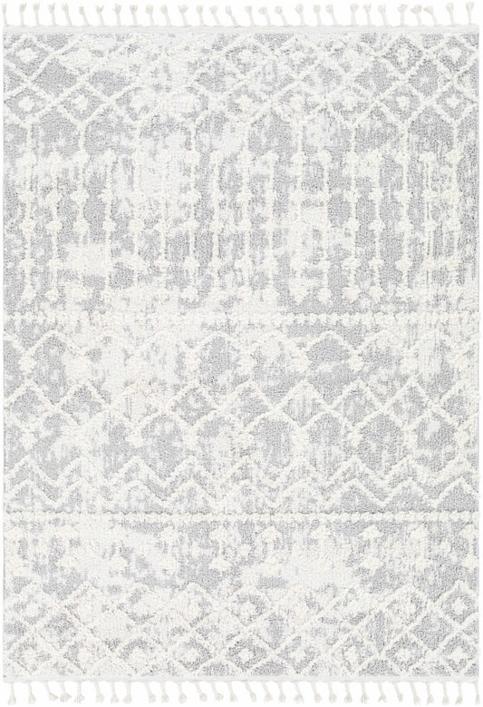Alhambra AHB-2307 Machine Woven Rug
