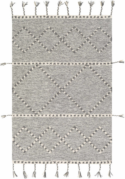Zanafi Tassels ZTS-2300 Hand Tufted Rug