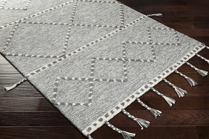 Zanafi Tassels ZTS-2300 Hand Tufted Rug