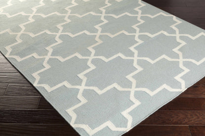 York AWHD-1026 Hand Woven Rug