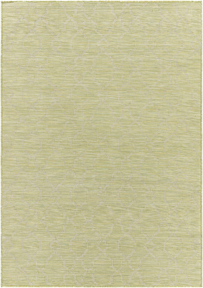 Pasadena PSA-2330 Machine Woven Rug