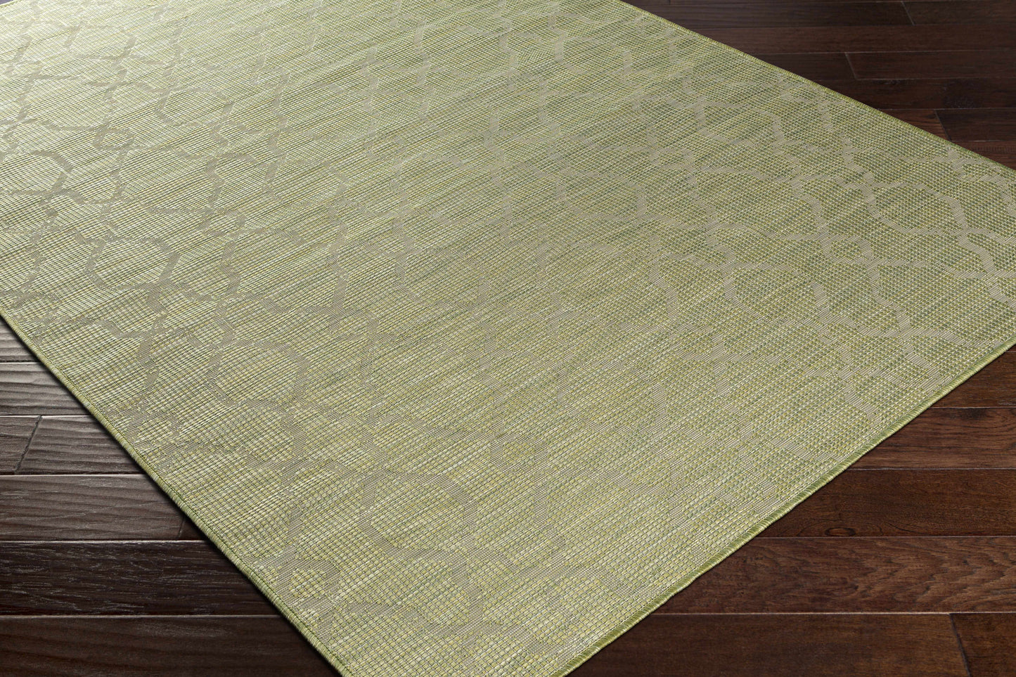 Pasadena PSA-2330 Machine Woven Rug