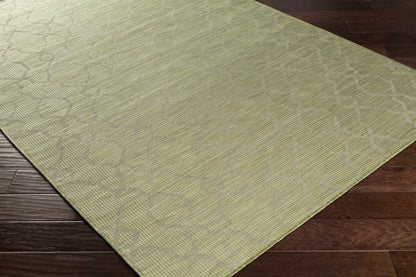 Pasadena PSA-2330 Machine Woven Rug