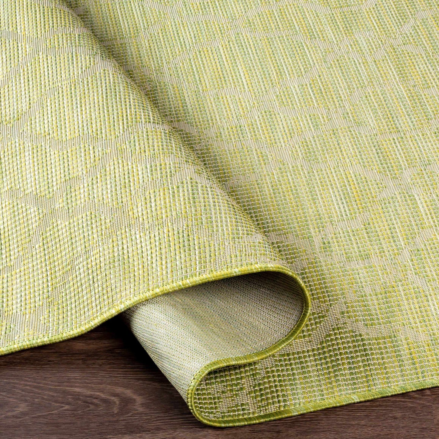 Pasadena PSA-2330 Machine Woven Rug