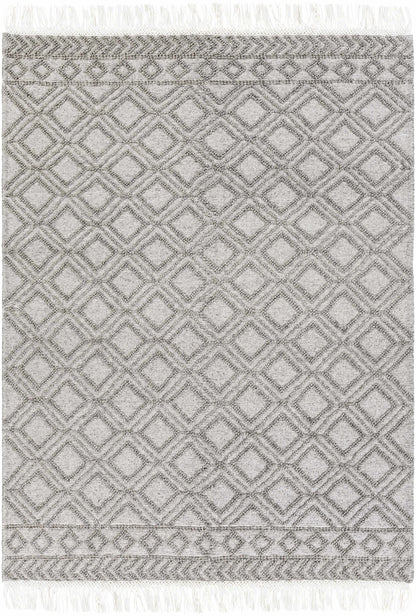Farmhouse Tassels FTS-2302 Hand Woven Rug