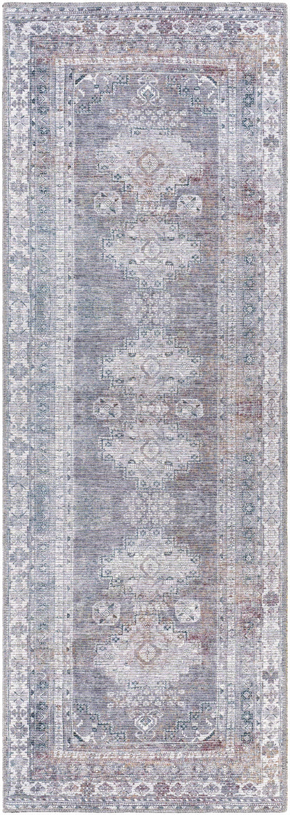 Colin CLN-2304 Machine Woven Rug