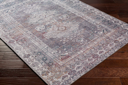 Colin CLN-2304 Machine Woven Rug