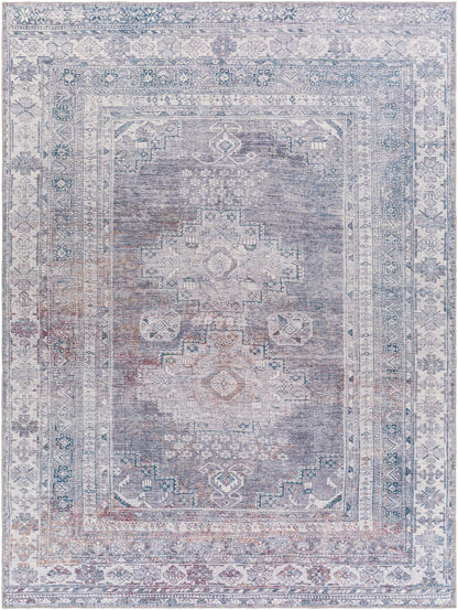 Colin CLN-2304 Machine Woven Rug