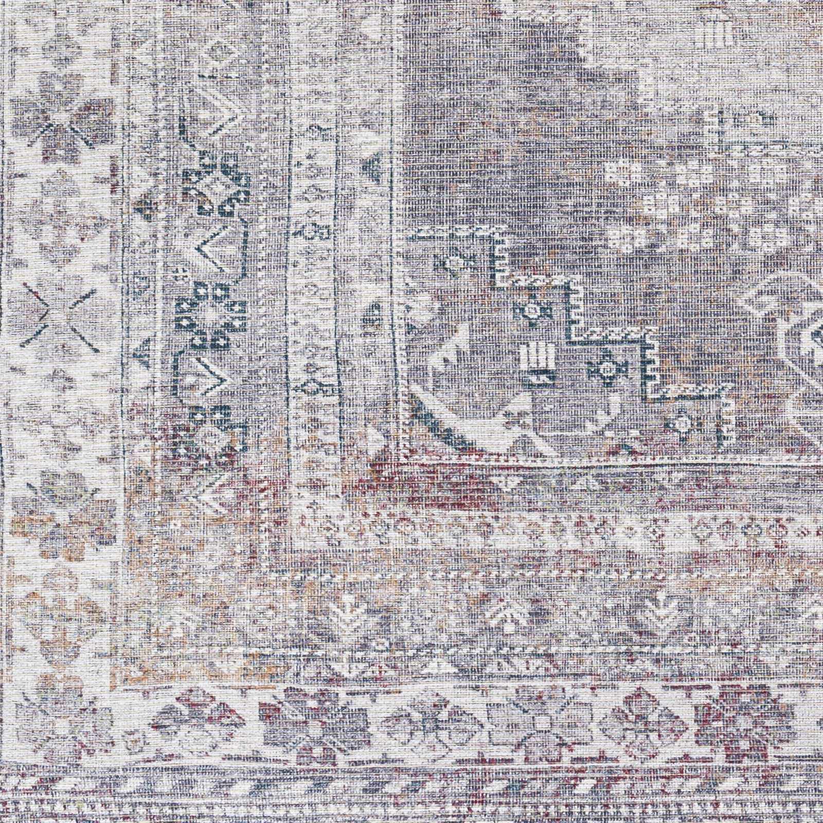 Colin CLN-2304 Machine Woven Rug
