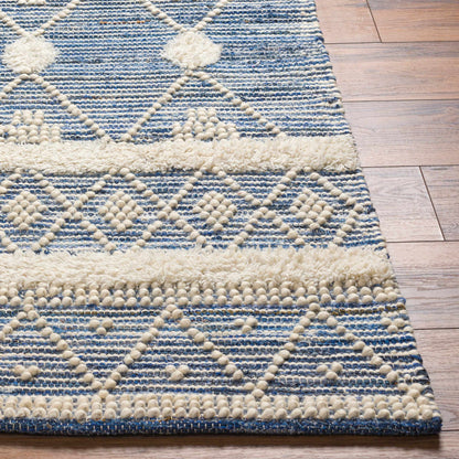 Nadine NDD-2302 Hand Woven Rug