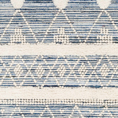 Nadine NDD-2302 Hand Woven Rug