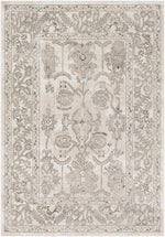 Rafetus ETS-2338 Machine Woven Rug