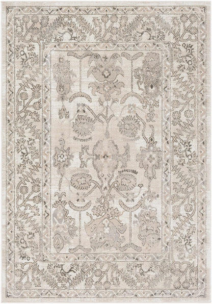 Rafetus ETS-2338 Machine Woven Rug