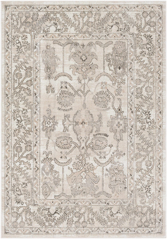 Rafetus ETS-2338 Machine Woven Rug