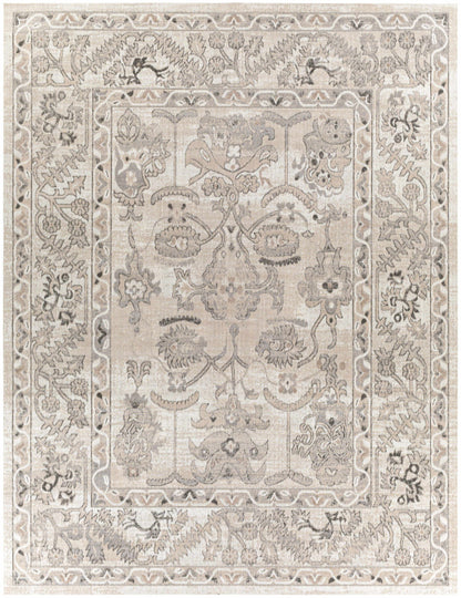 Rafetus ETS-2338 Machine Woven Rug