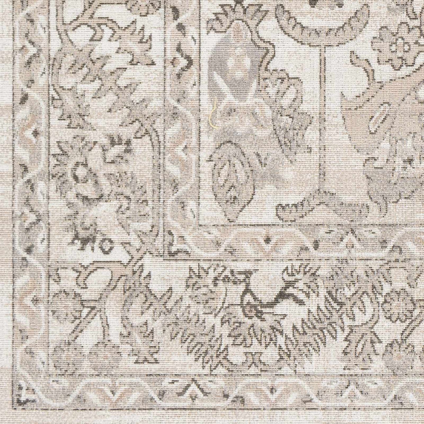 Rafetus ETS-2338 Machine Woven Rug