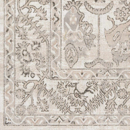 Rafetus ETS-2338 Machine Woven Rug