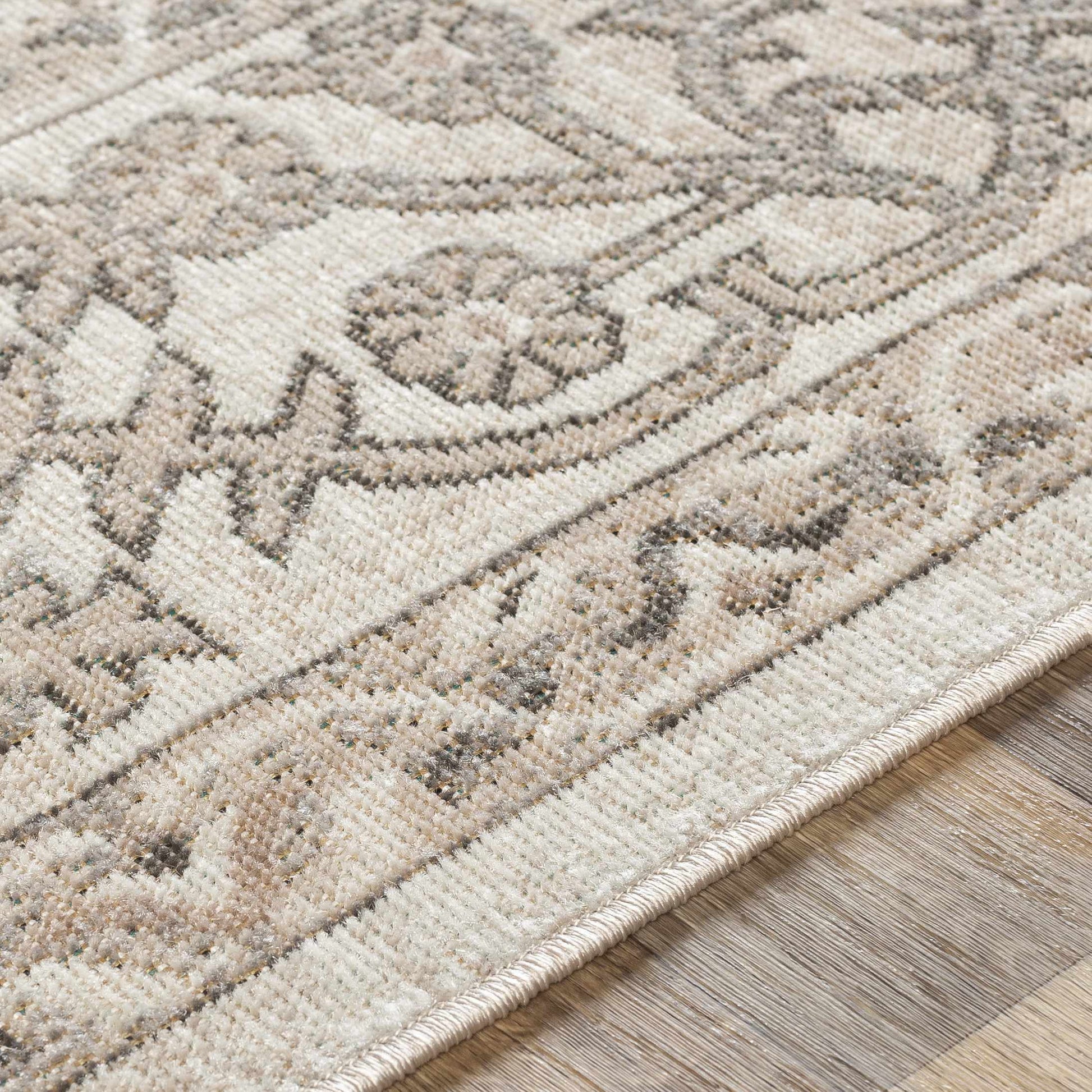 Rafetus ETS-2338 Machine Woven Rug
