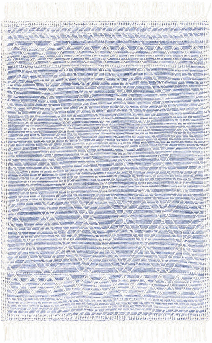 Fleur FLE-2303 Hand Woven Rug