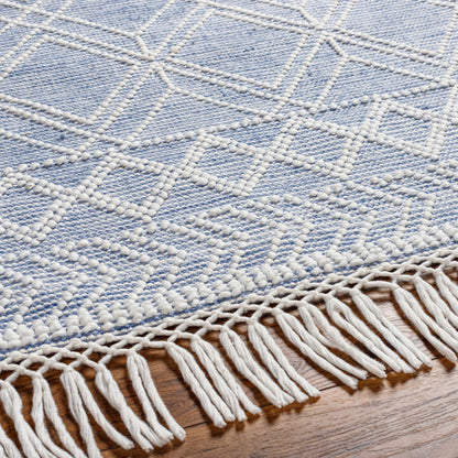 Fleur FLE-2303 Hand Woven Rug