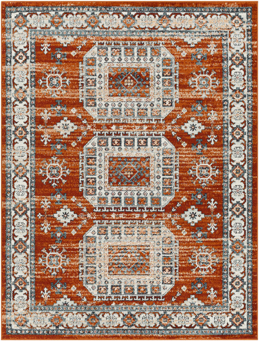 Tevazu TVZ-2350 Machine Woven Rug