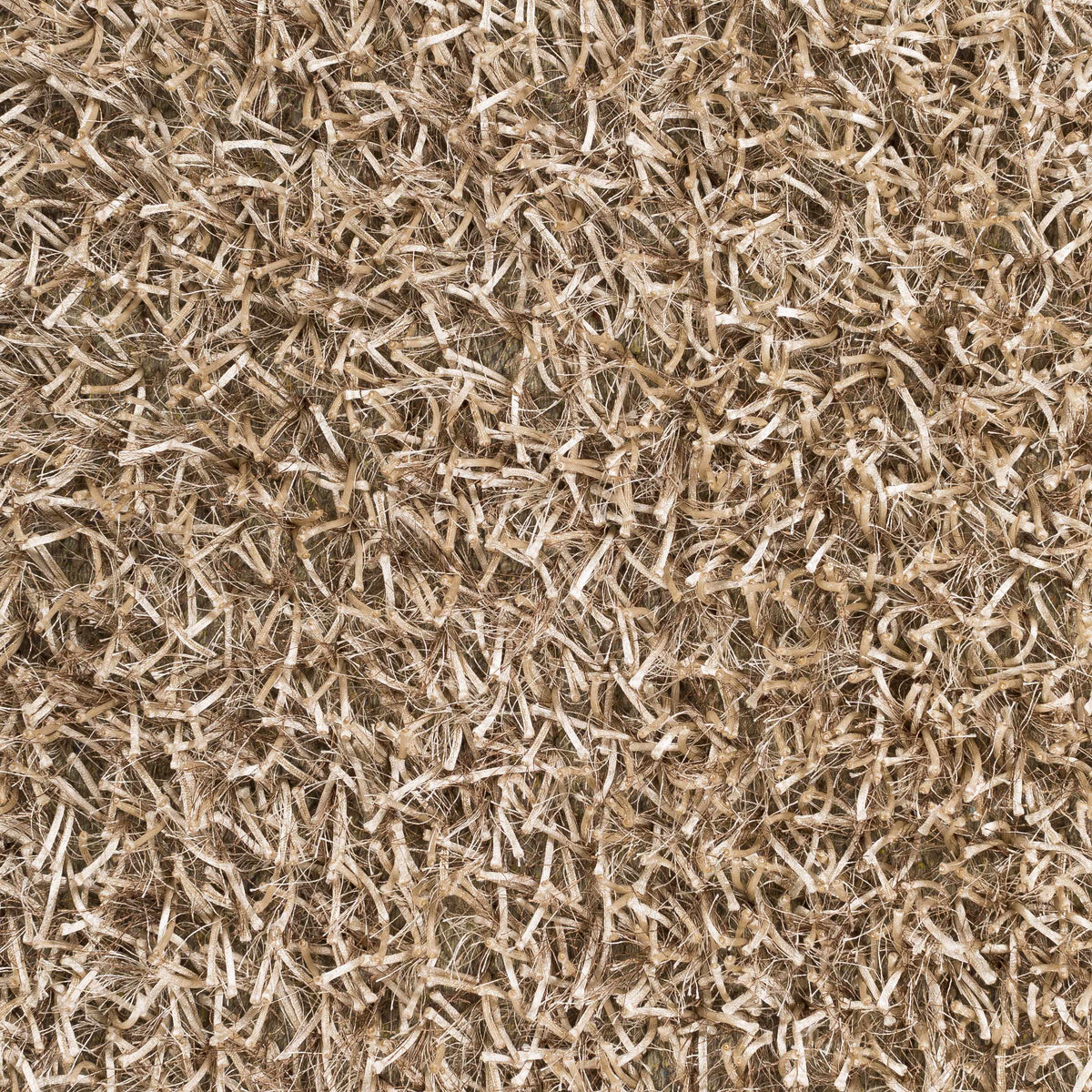 Taz TAZ-1002 Hand Woven Rug