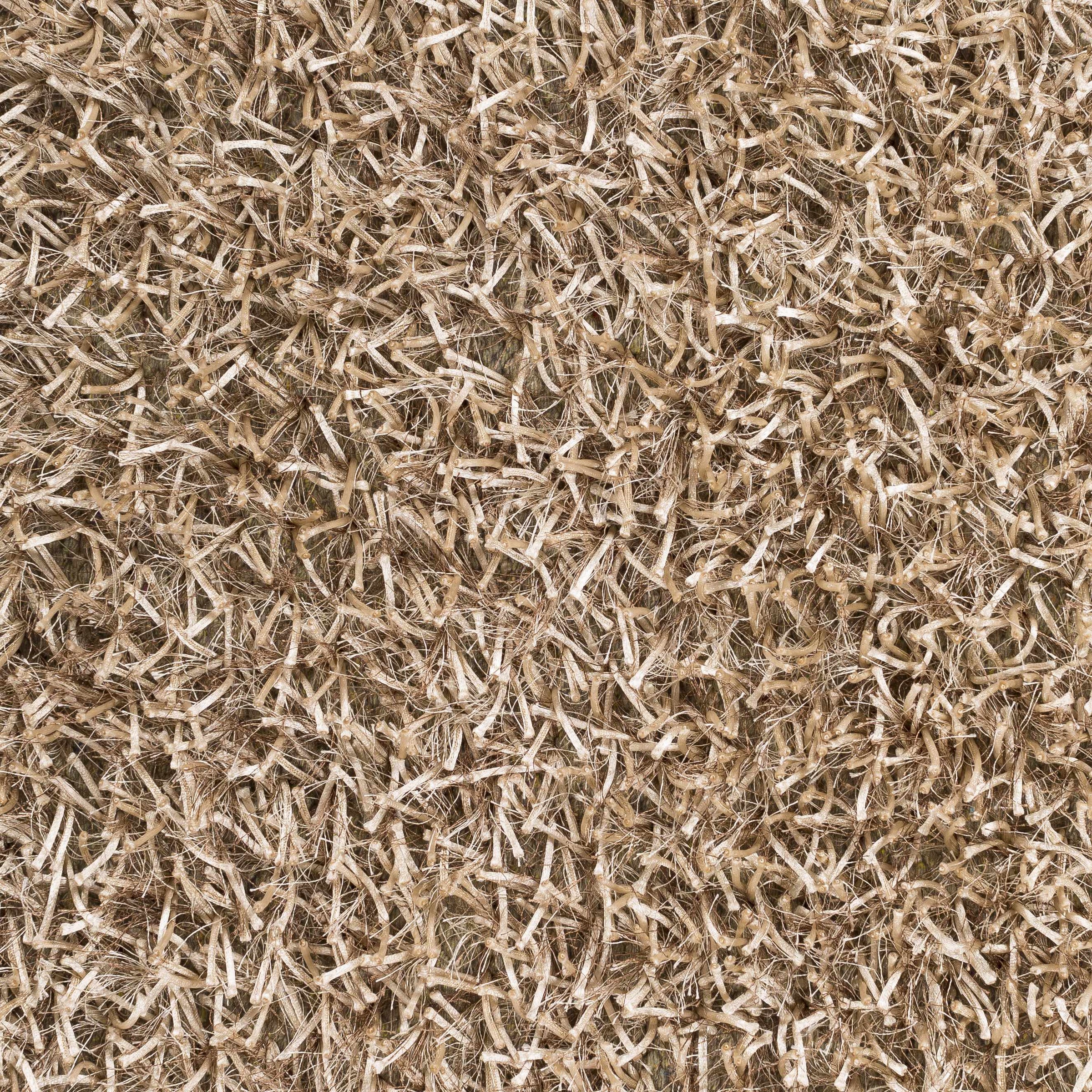 Taz TAZ-1002 Hand Woven Rug