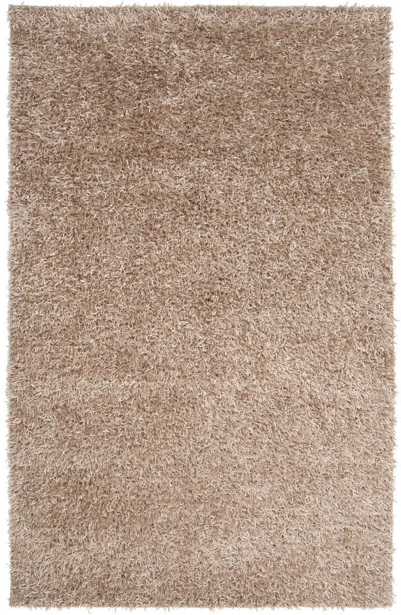 Beige Hand Woven 100% Polyester Modern Rectangle Handmade rug, Indoor use only, no fringe, non-washable.