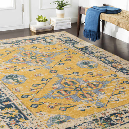 Trailblazer TZR-1004 Machine Woven Rug