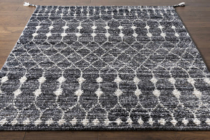 Birch BHC-2301 Hand Knotted Rug