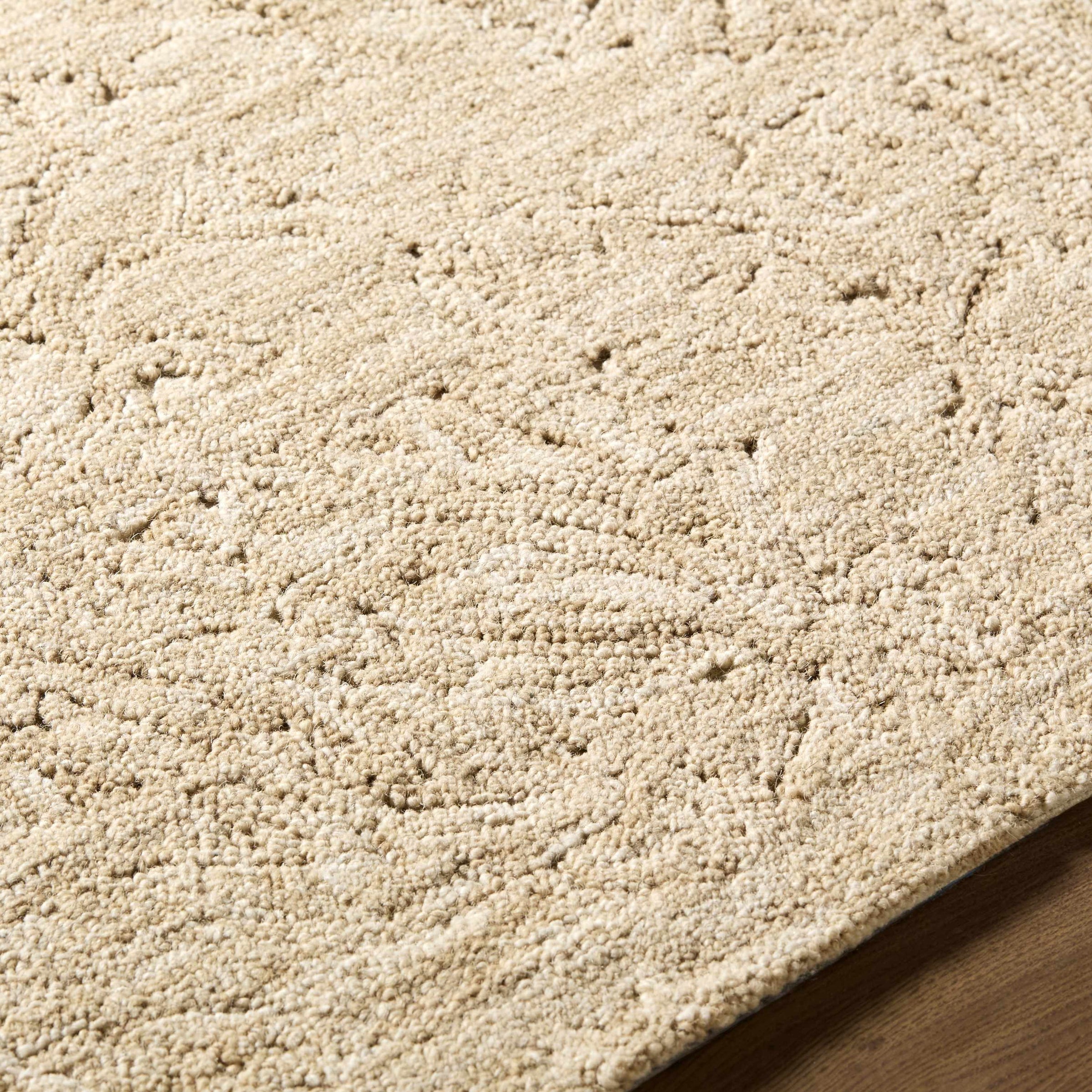 Rugs : BRL-2301