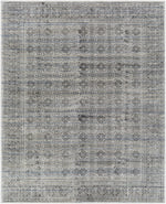 Wembley WMY-2301 Hand Loomed Rug
