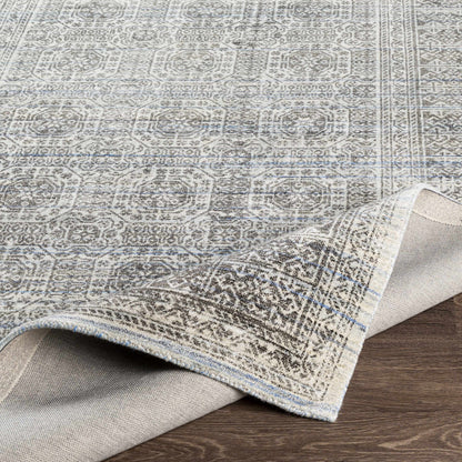 Wembley WMY-2301 Hand Loomed Rug