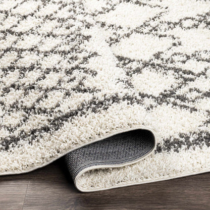 Taza Shag TZS-2301 Machine Woven Rug