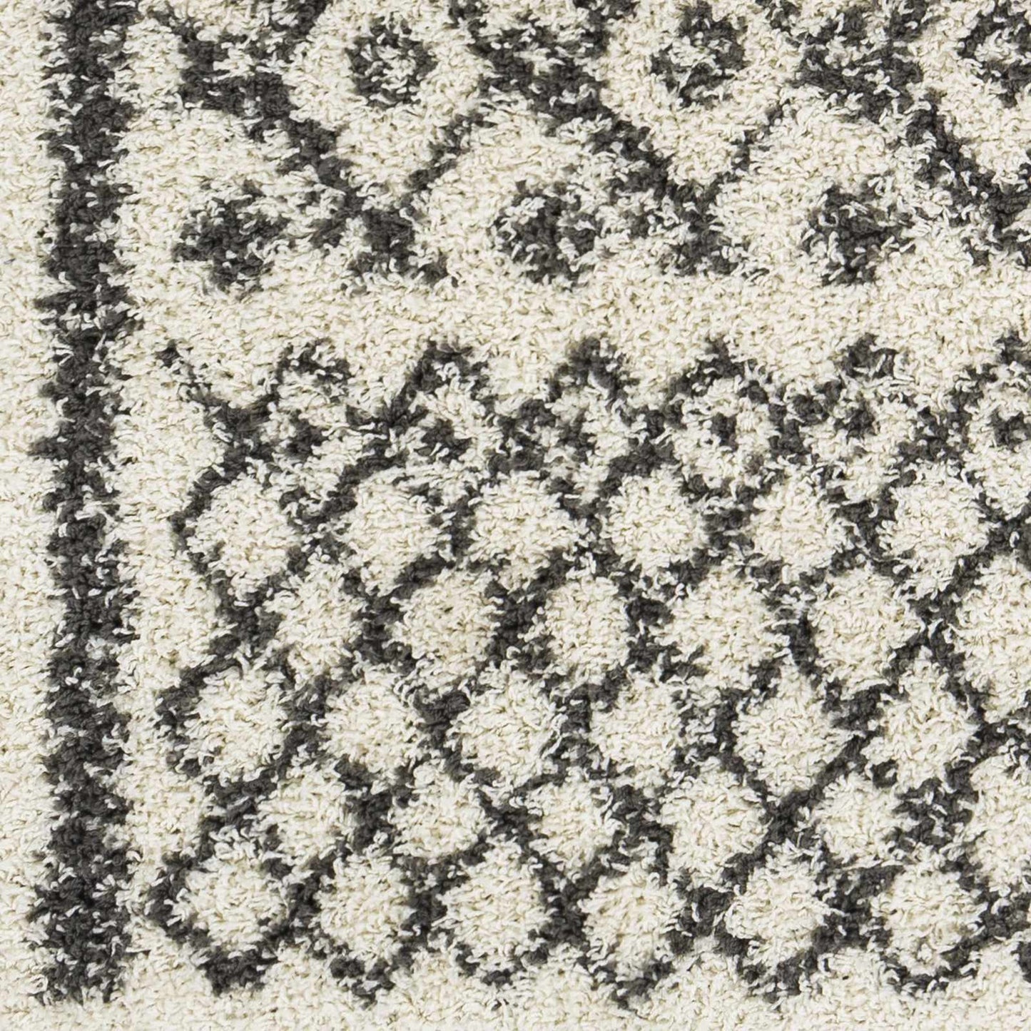 Taza Shag TZS-2301 Machine Woven Rug