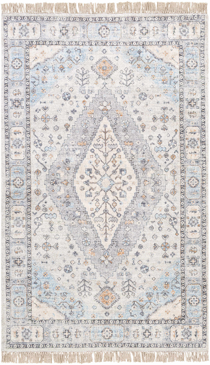 Gray Hand Woven 40% Viscose, 35% Polyester, 25% Cotton Traditional Rectangle Handmade rug, Indoor use only, has fringe, non-washable.